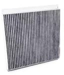 Фільтр салону Вугільний 10031849