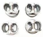 Поршня стандартні+кільця 10050893