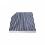 Фільтр салону Вугільний 8100240XSZ08A/C1186-40250