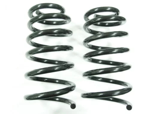 Пружина задня комплект 2 шт 2912011-J08