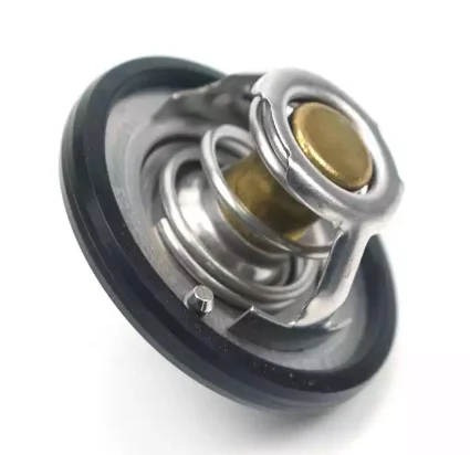 Термостат 80С 10013853