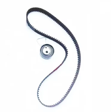 Комплект ГРМ (Ремень+ролик) 10020256/10007941