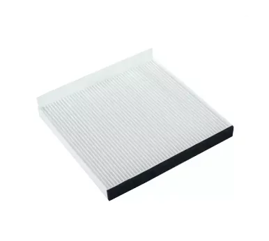 Фильтр салона 10031849