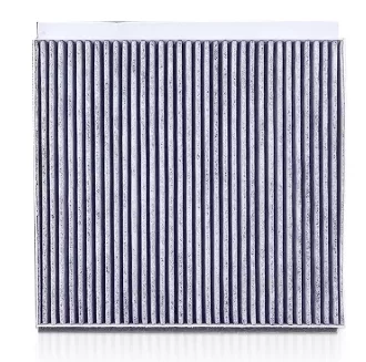 Фільтр салону Вугільний 10031849