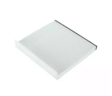 Фильтр салона 10031849