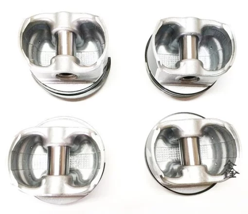 Поршня стандартные+кольца 10050893