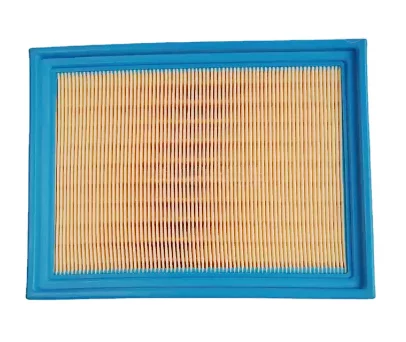 Фильтр воздушный 50016901