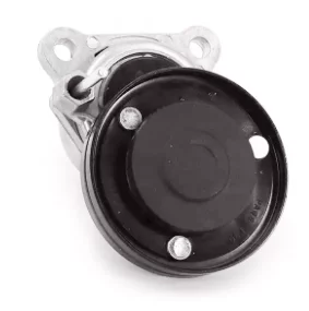 Натягувач ременя ГУР 710000491 PQG100180